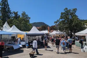 61ème édition : Mineral & Gem - Nuances de Fer