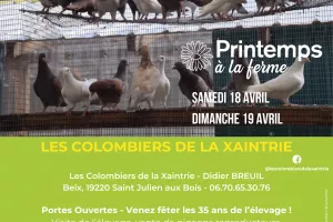 Printemps à la ferme - "les colombiers de la Xaintrie"