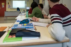 Stage adultes / Français professionnel