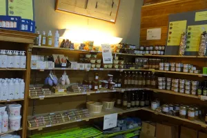 Exposition vente artisanale et producteurs régionaux