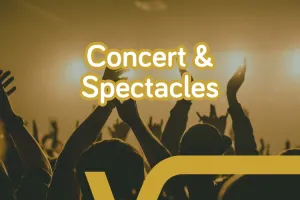 Concert Valentin Vander