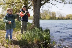Création d'un gîte à chauve-souris