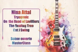 Festival GUITARE EN CHER