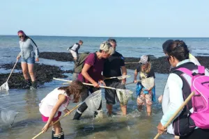 Balade découverte littorale à Saint-Aubin-sur-Mer