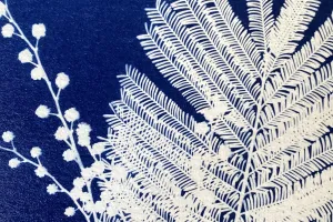 Atelier cyanotypes