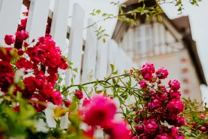Concours des Maisons et Balcons Fleuris