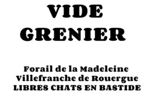 Vide-grenier