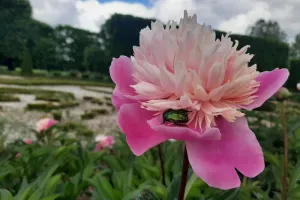 Découverte de la faune sauvage du parc