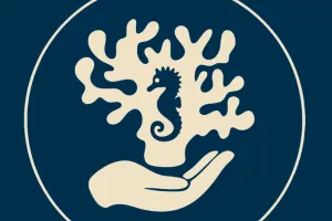 Atelier Crée Ta Tortue à l'Aquarium Refuge