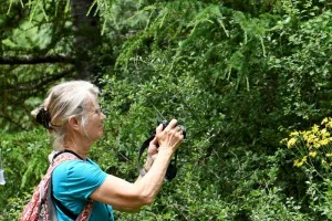 Balade photographique