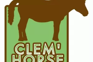 Activités équestres avec Clem'Horse du 20 au 30 avril  2026