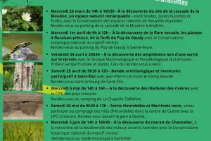 ABC de la biodiversité : balade ornithologique et inventaire