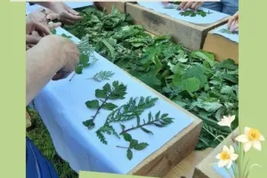 Atelier impression végétale : Découvrez le Tataki zomé