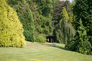 Visite guidée du patrimoine arboré du parc Calouste Gulbenkian