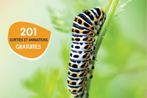SORTIES NATURE : FORMATION IDENTIFICATION DES EXUVIES