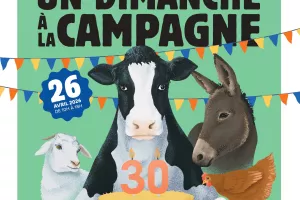 Un dimanche à la campagne