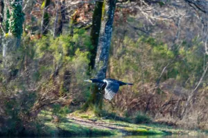 Exposition du Photo-club Montponnais