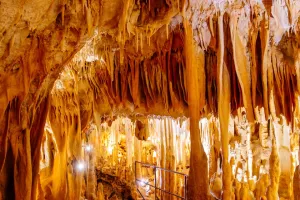 Enigme à la grotte de Villars : A la recherche d'Ayla la chamane