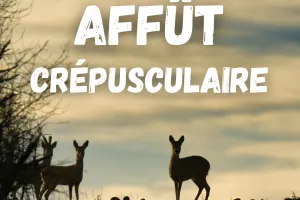 Sortie "Affût crépusculaire"