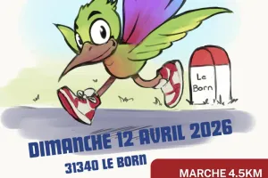 TRAIL DES COLIBRIS Bornés