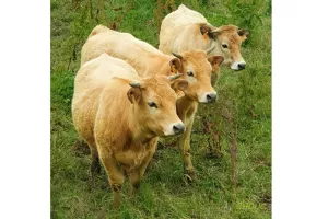 Exposition photos : Catherine Poux-Moine