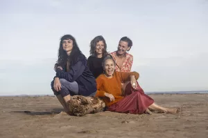 Concert La Mal Coiffée à Nantes !