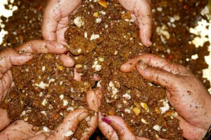 Les vacances de l'Office : Les p'tits paléontologues