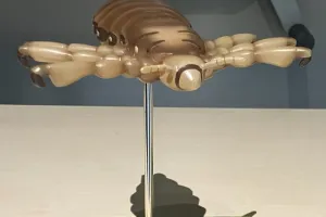 Atelier "une vie de poux"