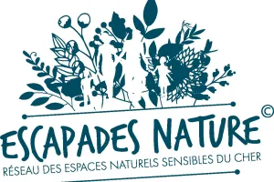 Au gré du niveau de l'eau