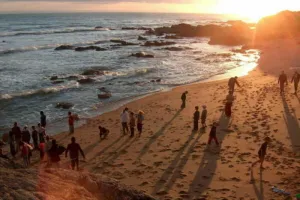 A la découverte du milieu maritime en Vendée
