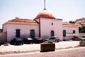 MICRO-FOLIE COLLECTION D'OEUVRES D'ART : L'OISEAU DANS L'ART