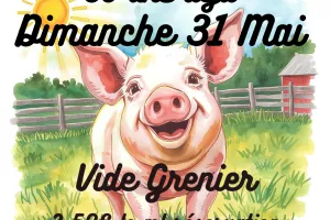 Vide Grenier Saint Cochon