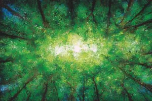 Domaine de Sédières : Naissances des grands mammifères