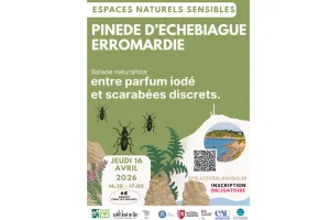 Espaces naturels sensibles de Saint-Jean-de-Luz: Pinède d'Etchebiague, entre parfum iodé et scarabées discrets.