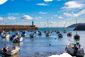 Voyage au cœur de la Baie