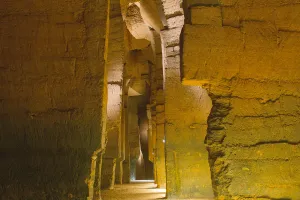 Les 1001 vies des troglos