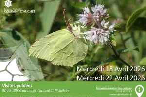 Partez à la découverte de la Réserve Naturelle du Courant d'Huchet