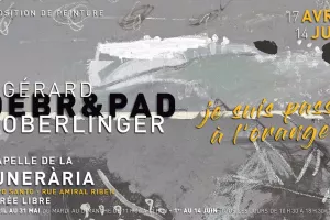 JE SUIS PASSÉ À L'ORANGE