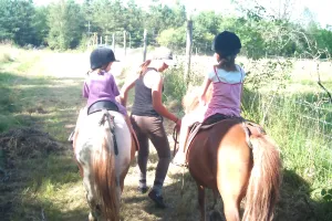 Demi-journée immersion avec un cheval