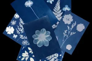Samedi créatif "Cyanotype"