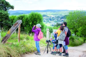 SORTIE NATURE - CRIS ET CHANTS D'OISEAUX