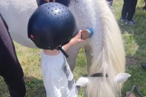 Les balades à cheval