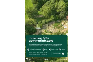 Initiation à la gemmothérapie