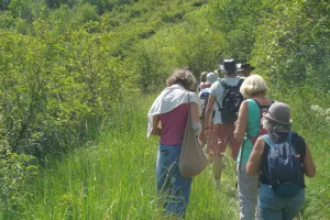 Sortie botanique ENS