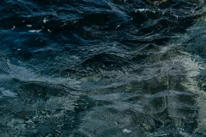 Exposition de photographies "Le thème de l'eau"