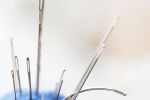 Exposition de Broderie "De fil en feuille" par Leïla Lorenn