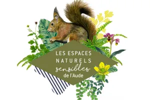 ENS - AU CŒUR DE LA FORÊT