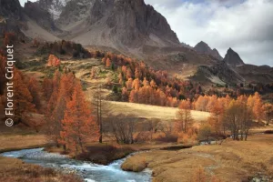 Exposition "La quête de la lumière"