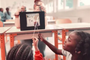 Atelier "Crankie Box", les animaux de la nuit