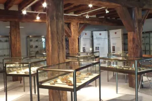 Nuit européenne des Musées : visite guidée du musée municipal d'Histoire et de Préhistoire